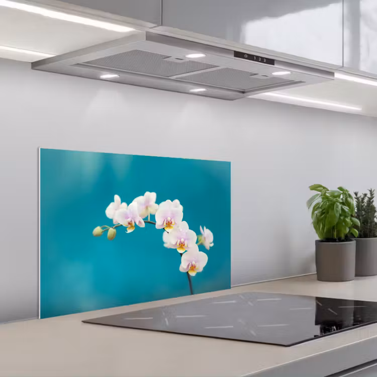 Paraschizzi cucina - Orchidea - Fiori - Pianta - Bianco - Viola — 1