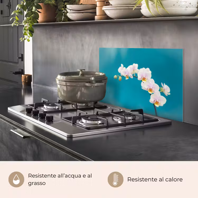Paraschizzi cucina - Orchidea - Fiori - Pianta - Bianco - Viola — 2