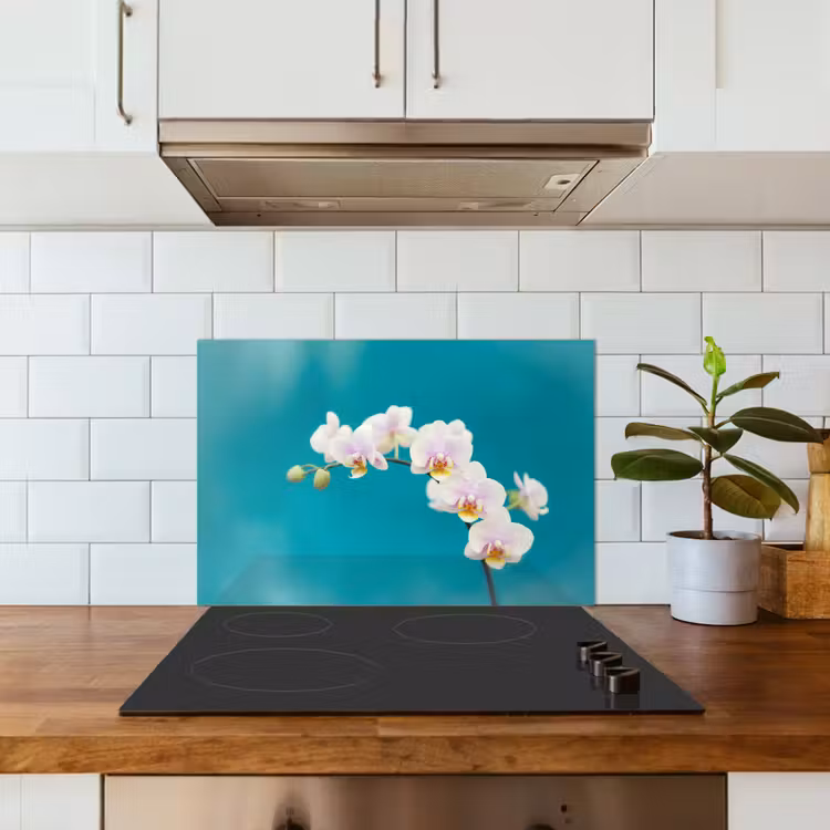 Paraschizzi cucina - Orchidea - Fiori - Pianta - Bianco - Viola — 3