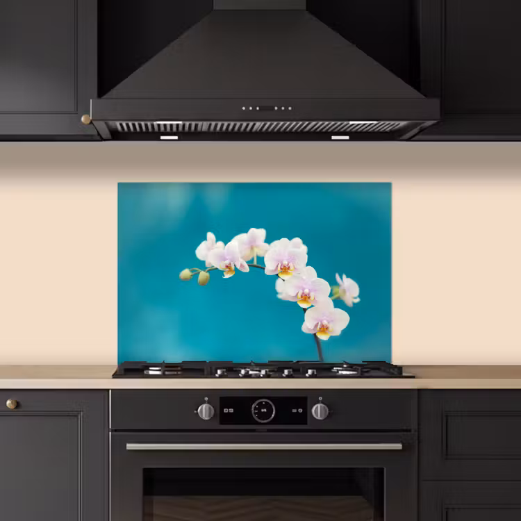 Paraschizzi cucina - Orchidea - Fiori - Pianta - Bianco - Viola — 5