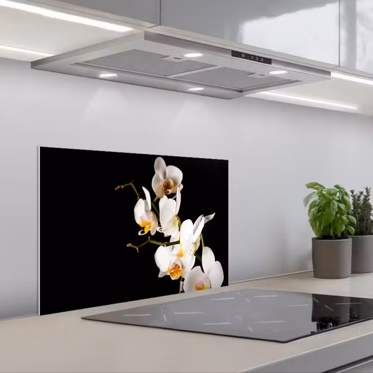 Paraschizzi cucina - Orchidea - Fiori - Piante - Botanica — 1