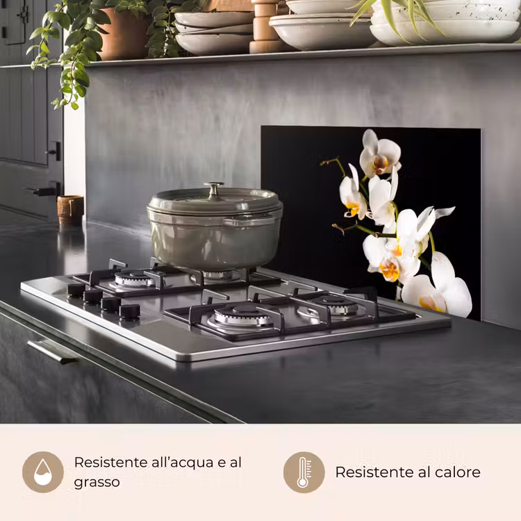 Paraschizzi cucina - Orchidea - Fiori - Piante - Botanica — 2