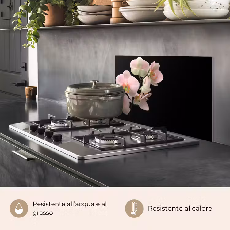 Paraschizzi cucina - Orchidea - Fiori - Rosa - Natura morta - Flora — 2