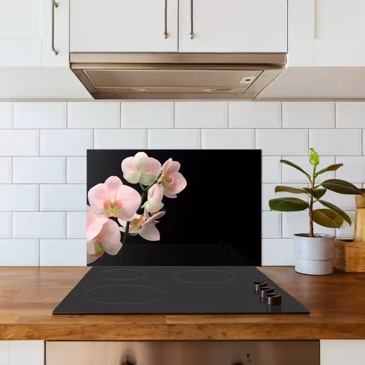 Paraschizzi cucina - Orchidea - Fiori - Rosa - Natura morta - Flora — 3