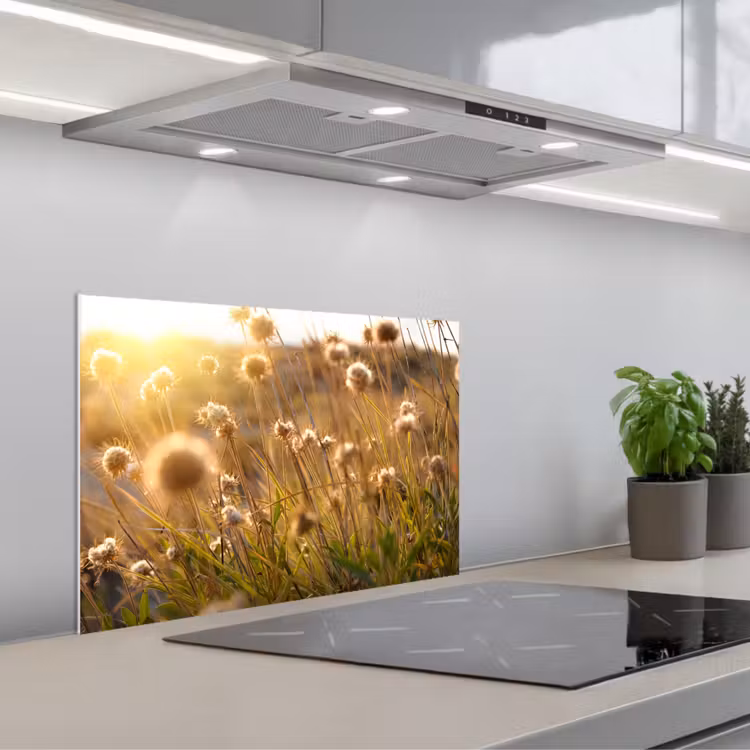 Paraschizzi cucina - Piante - Natura - Fiori - Sole - Orizzonte — 1