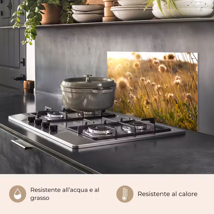 Paraschizzi cucina - Piante - Natura - Fiori - Sole - Orizzonte — 2