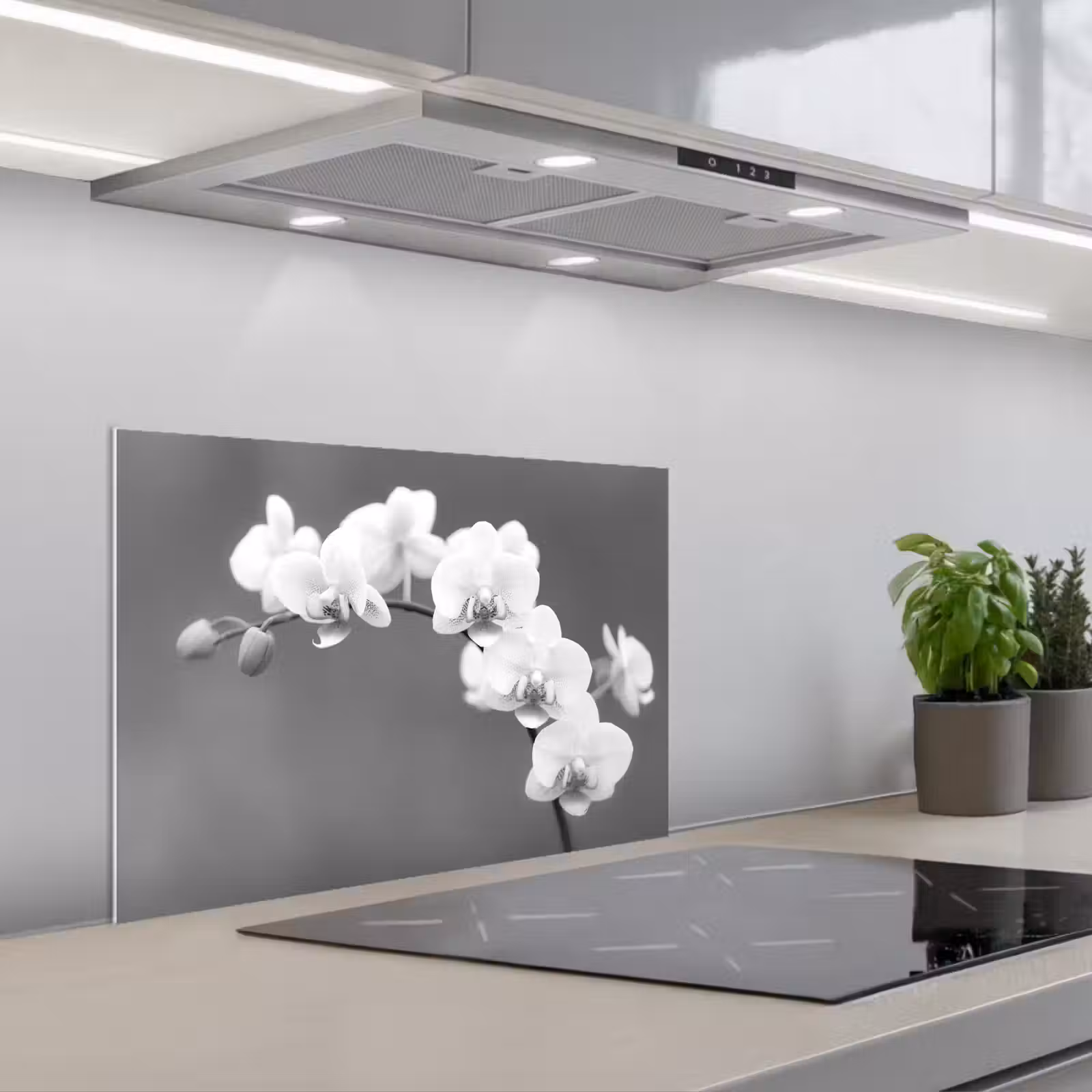 Paraschizzi cucina - Splendore monocromatico dell'orchidea — 1