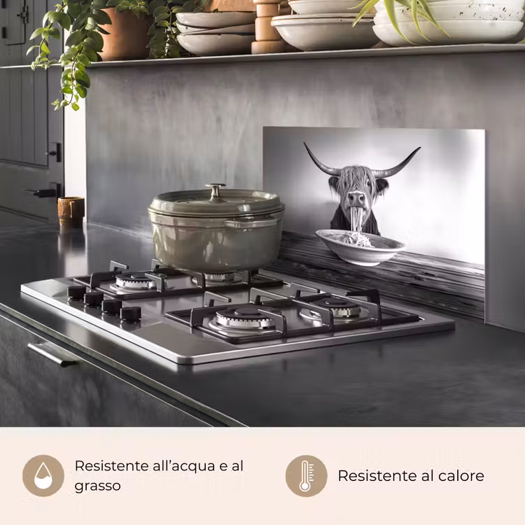 Paraschizzi cucina - Highlander scozzese - Spaghetti - Animali - Bianco e nero — 2
