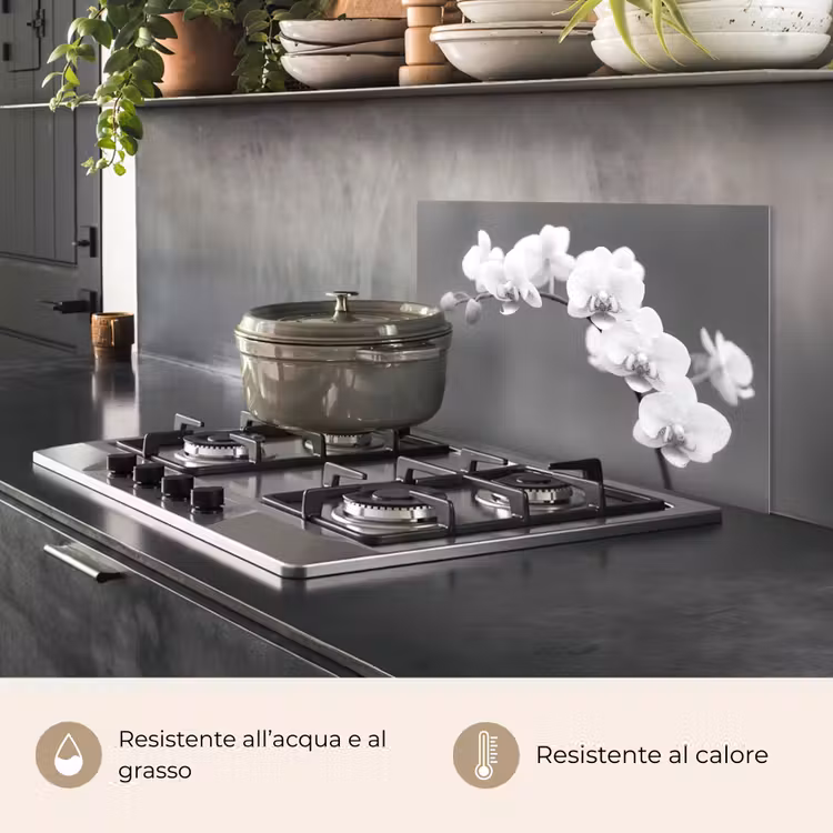 Paraschizzi cucina - Splendore monocromatico dell'orchidea — 2