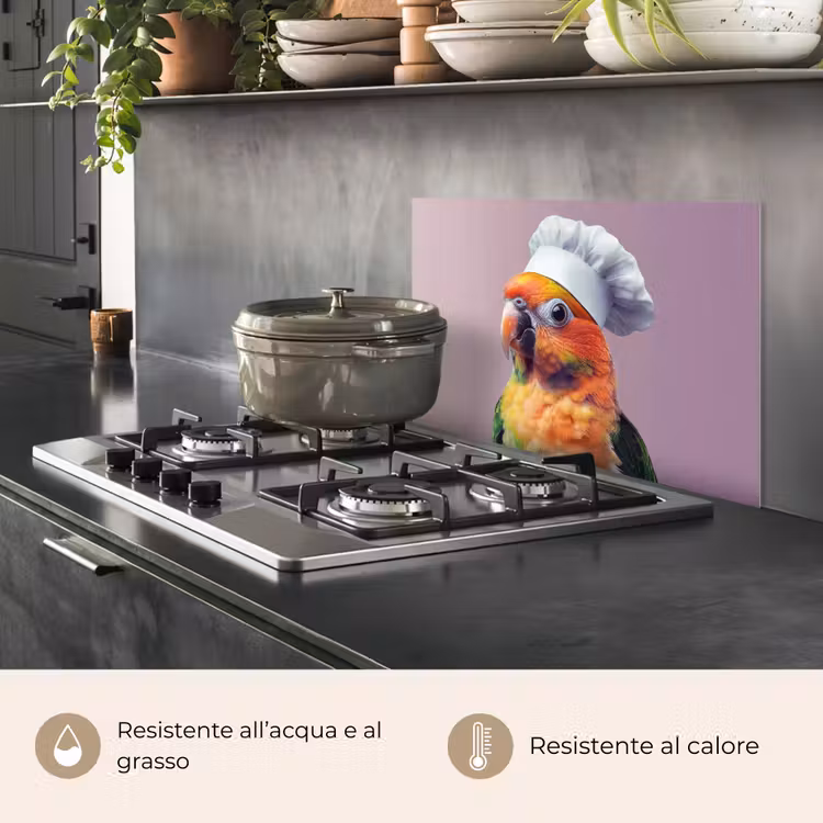 Paraschizzi cucina - Pappagallo - Cappello da cuoco - Curioso - Uccello — 2
