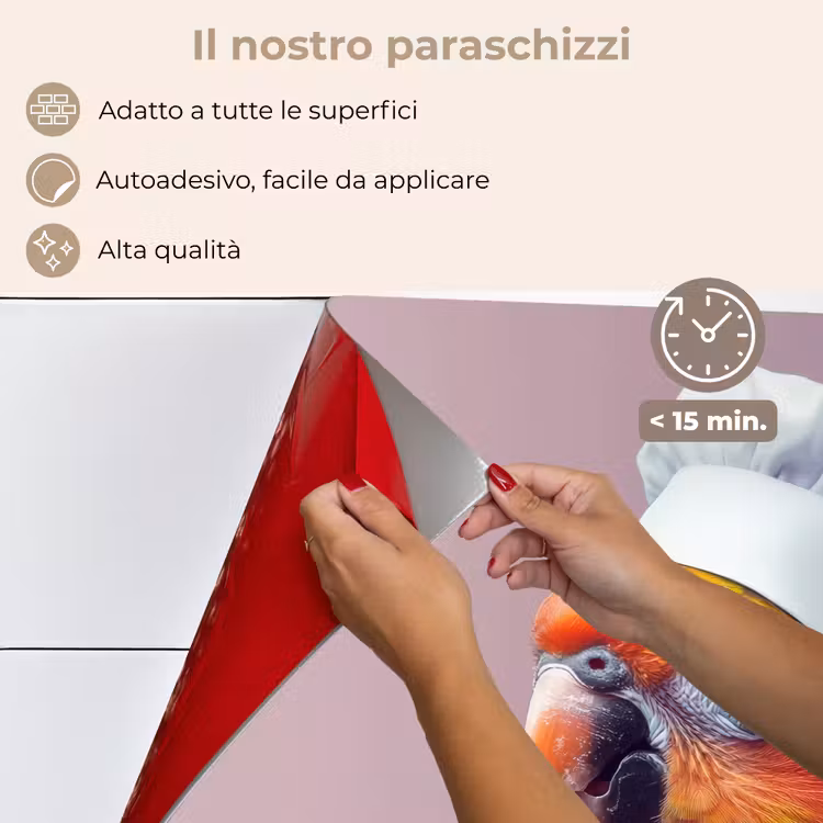 Paraschizzi cucina - Pappagallo - Cappello da cuoco - Curioso - Uccello — 4