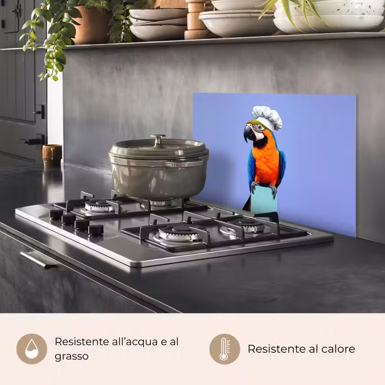 Paraschizzi cucina - Pappagallo - Cappello da cuoco - Uccello - Divertimento — 2