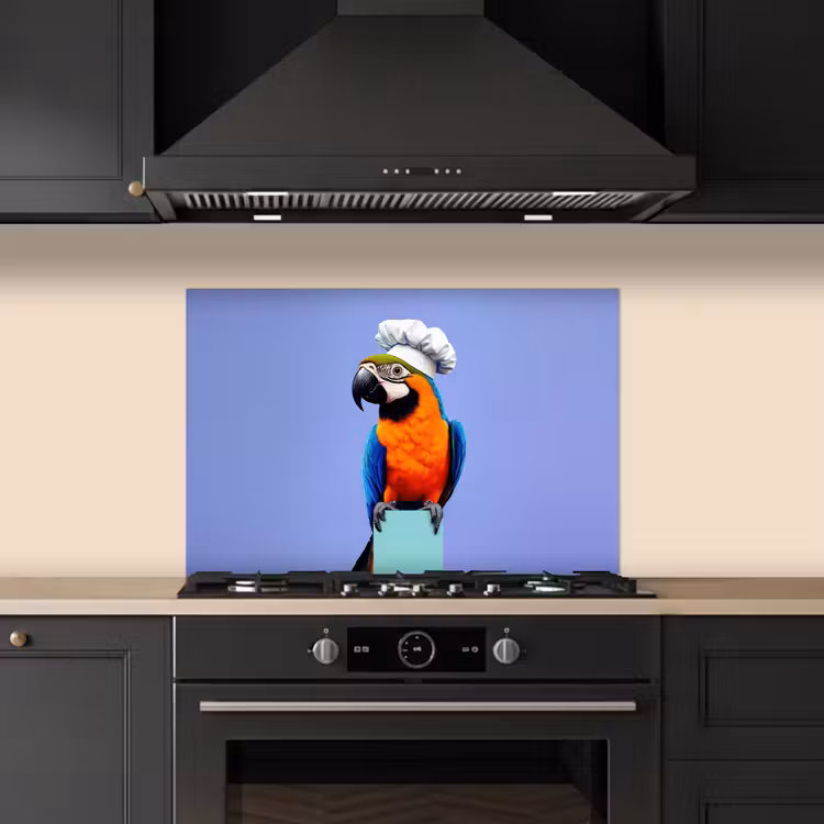 Paraschizzi cucina - Pappagallo - Cappello da cuoco - Uccello - Divertimento — 5