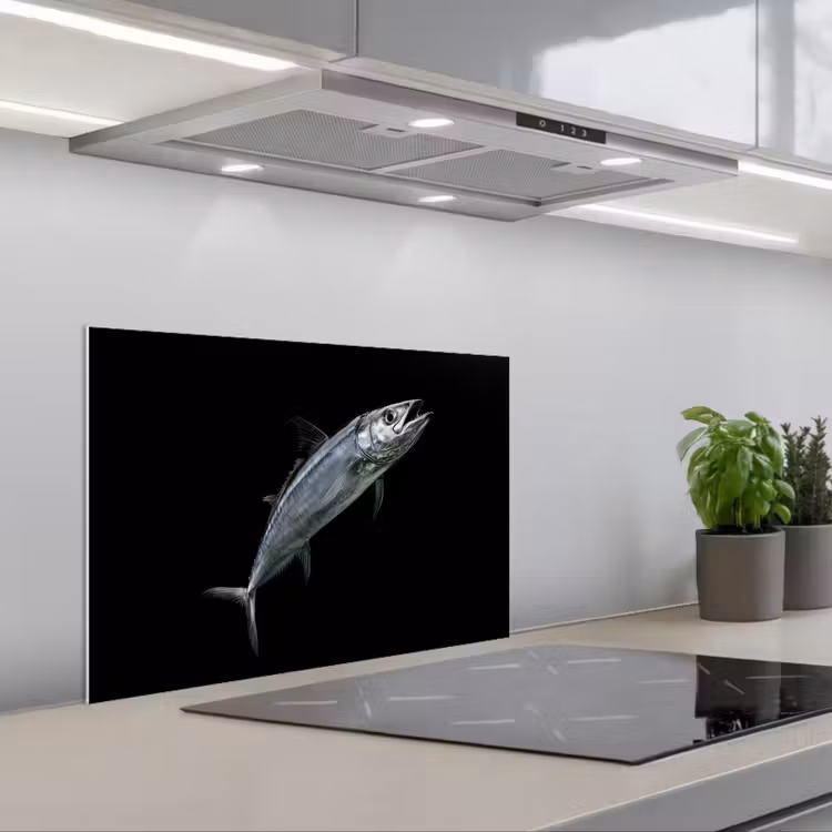 Paraschizzi cucina - Sgombro - Pesce - Nero — 1