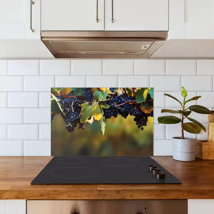 Paraschizzi cucina - Uva - Vino - Natura - Verde — 3