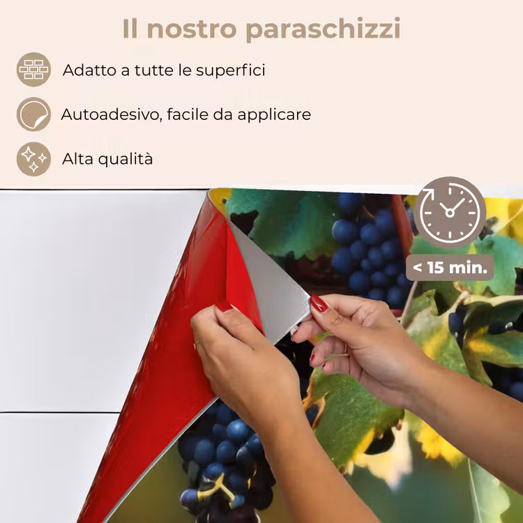 Paraschizzi cucina - Uva - Vino - Natura - Verde — 4