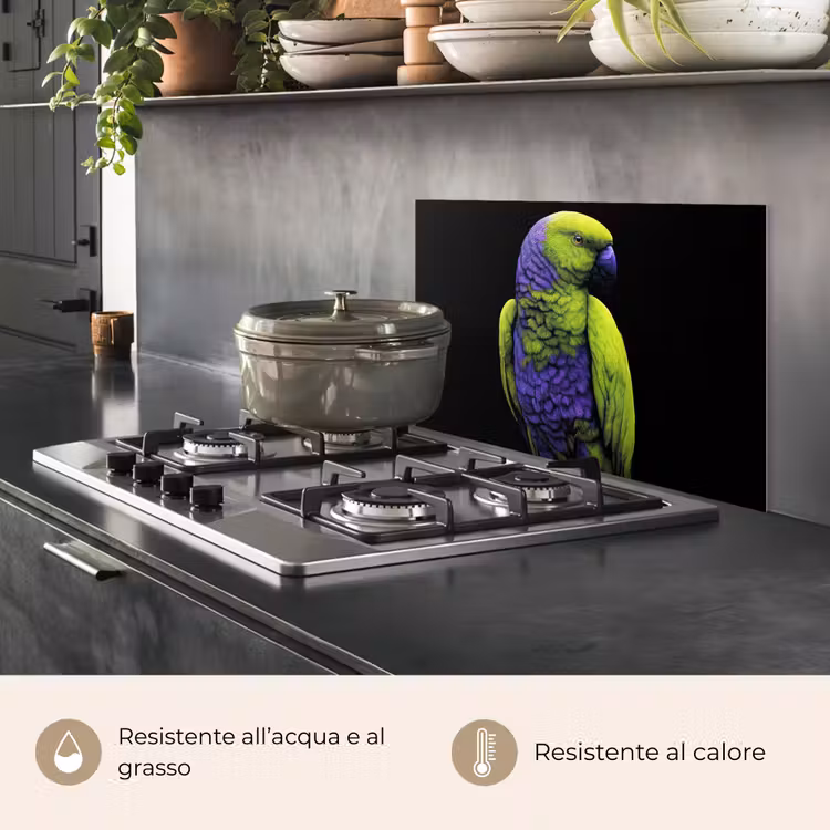 Paraschizzi cucina - Pappagallo - Piume - Accattivante - Verde — 2