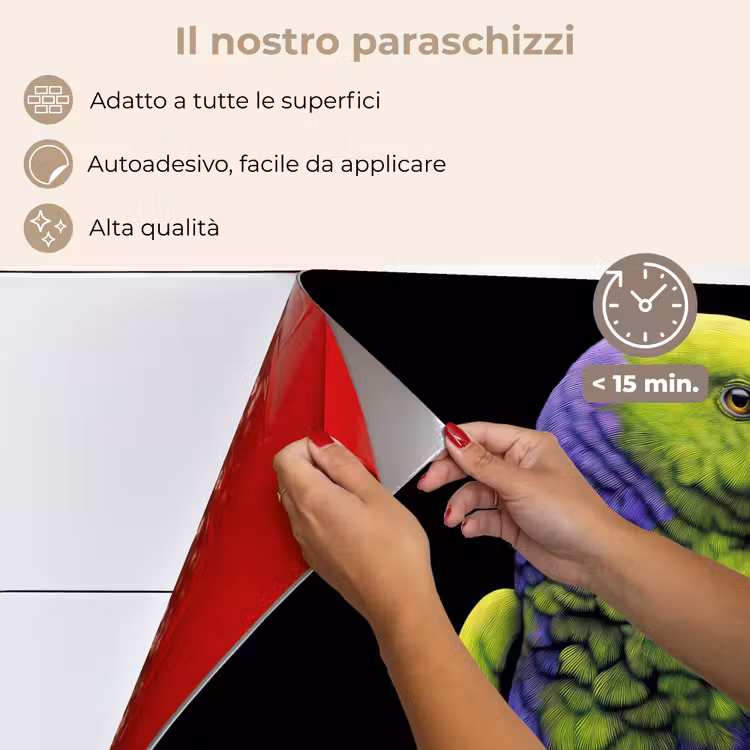 Paraschizzi cucina - Pappagallo - Piume - Accattivante - Verde — 4