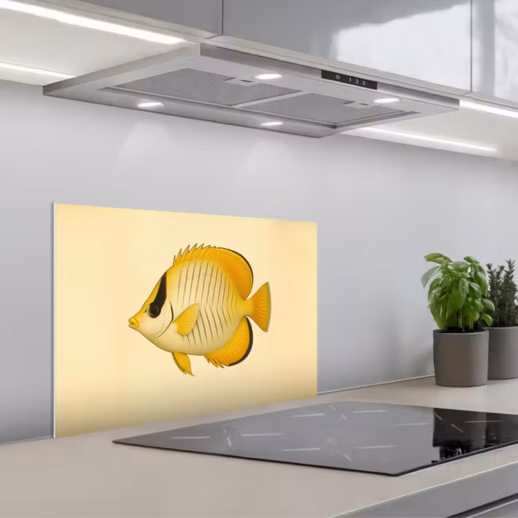 Paraschizzi cucina - Ovale - Pesce - Giallo - Squame — 1