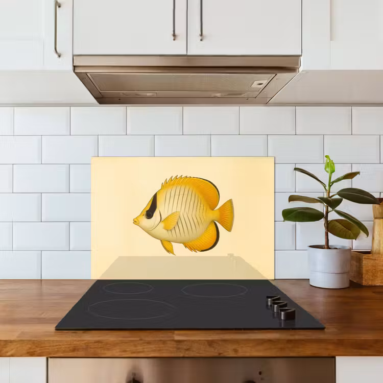 Paraschizzi cucina - Ovale - Pesce - Giallo - Squame — 3