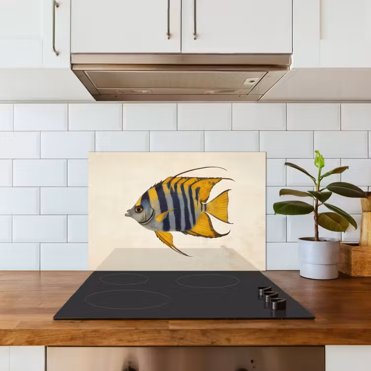 Paraschizzi cucina - Pesce - Decorativo - Pinne - Illustrazione — 3