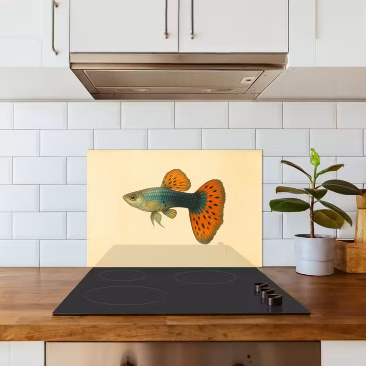 Paraschizzi cucina - Pesce - illustrazione - Puntini - Arancione — 3