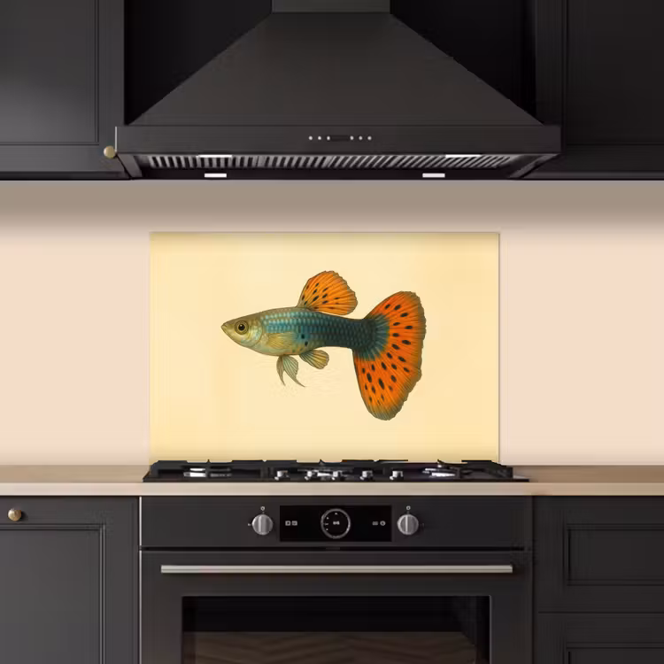 Paraschizzi cucina - Pesce - illustrazione - Puntini - Arancione — 5