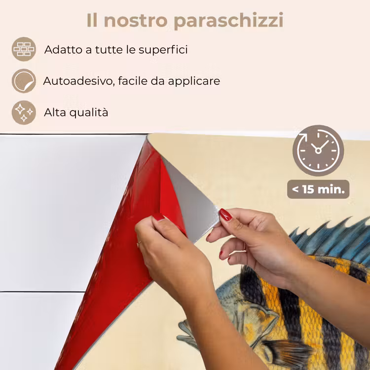 Paraschizzi cucina - Pesce - Tropicale - Strisce - Pinne — 4