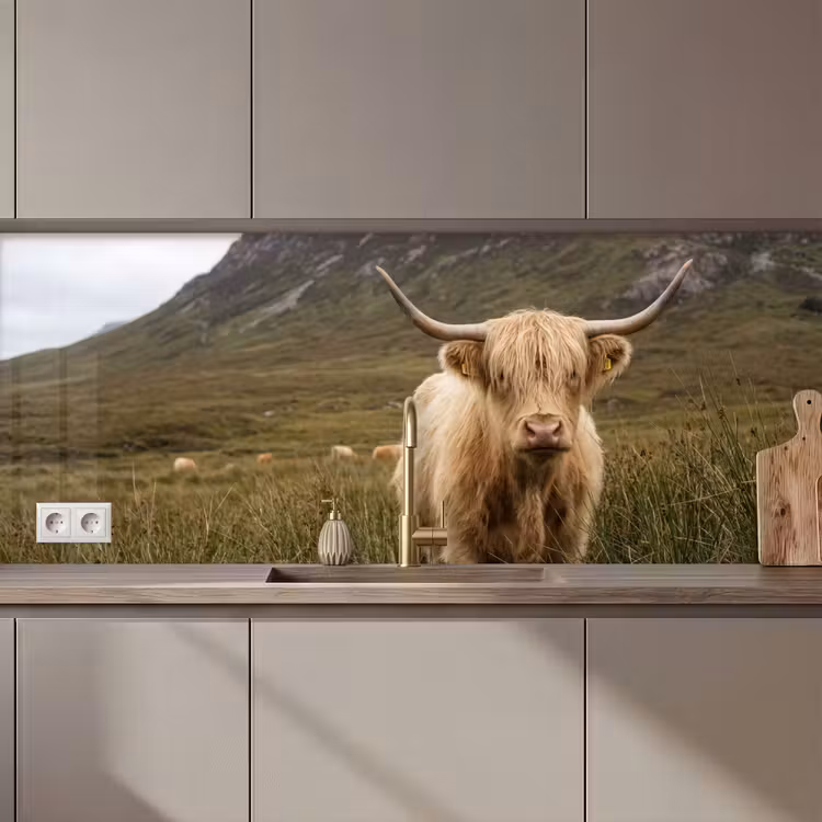 Schienale cucina - Highlander scozzese - Bergen - Campo d'erba — 1