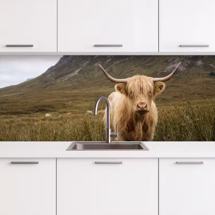 Schienale cucina - Highlander scozzese - Bergen - Campo d'erba — 4