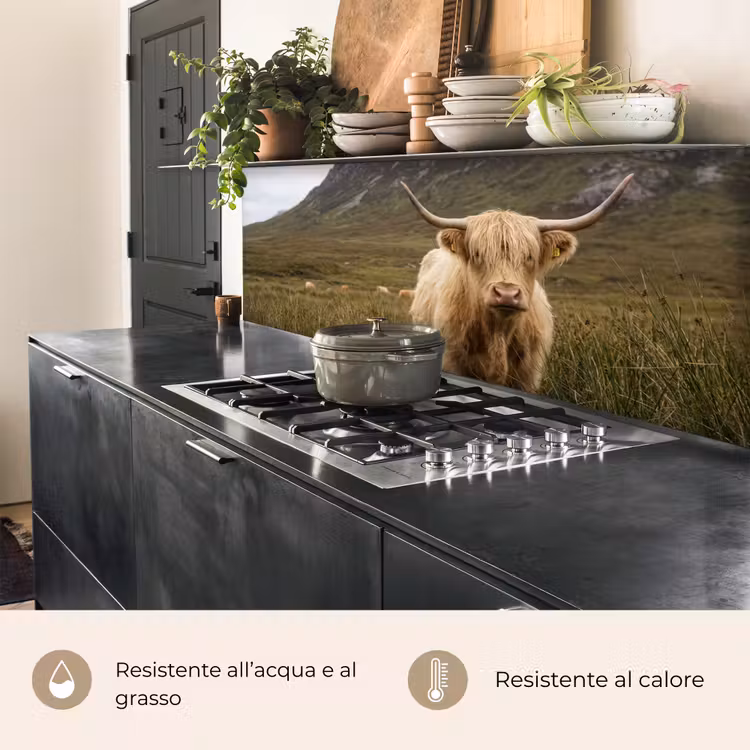 Schienale cucina - Highlander scozzese - Bergen - Campo d'erba — 5