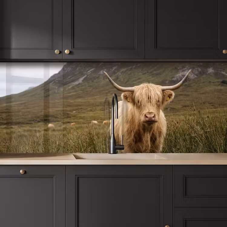 Schienale cucina - Highlander scozzese - Bergen - Campo d'erba — 6