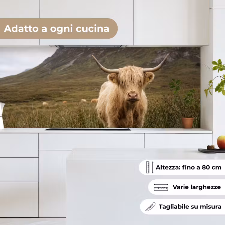 Schienale cucina - Highlander scozzese - Bergen - Campo d'erba — 7