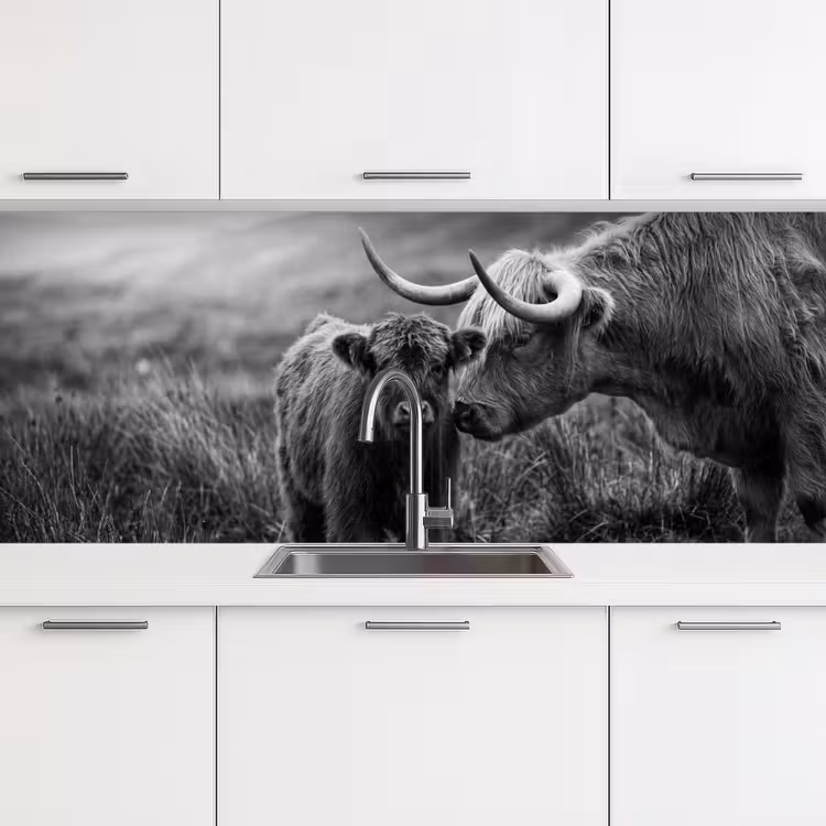 Schienale cucina - Highlander scozzese - Vitello - Nero - Bianco — 4