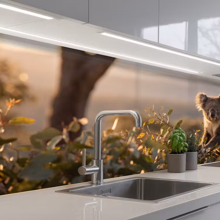 Schienale cucina - Koala - Foglie - Luce del mattino — 2