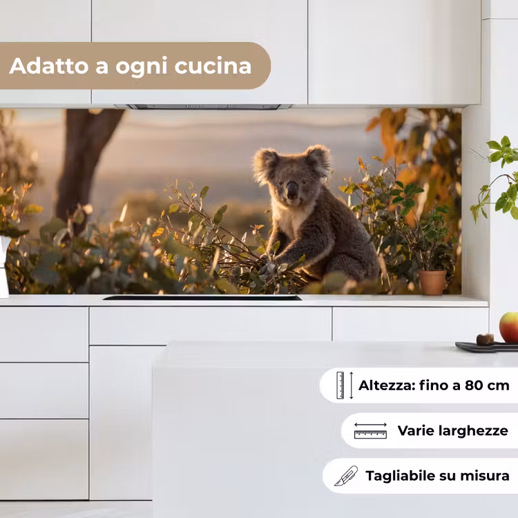 Schienale cucina - Koala - Foglie - Luce del mattino — 7