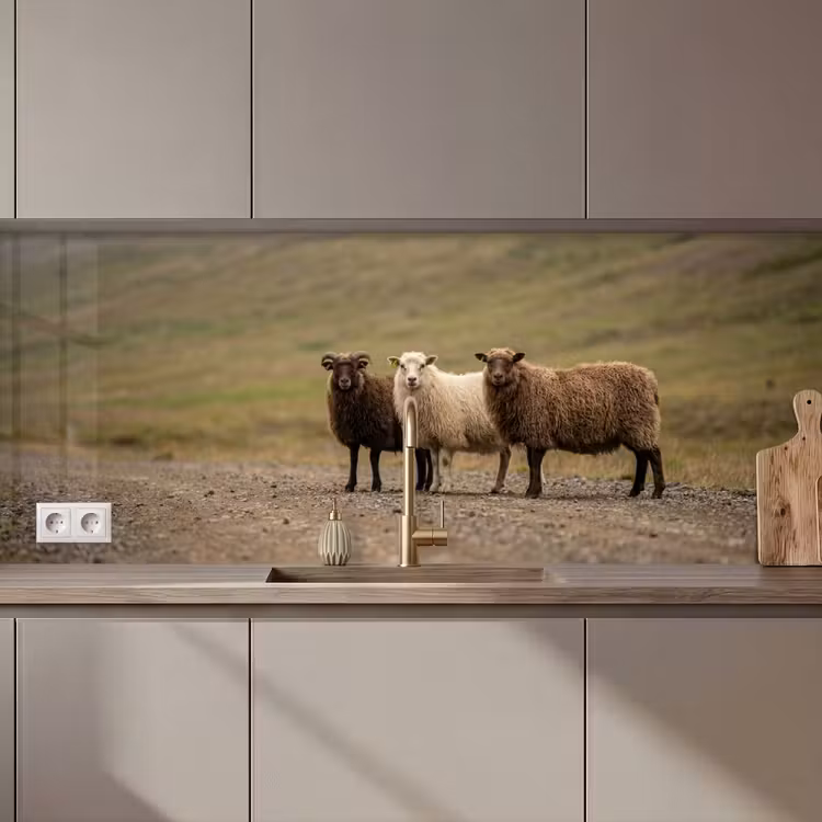 Schienale cucina - Pecora - Marrone - Bianco - Sentiero di ghiaia — 1
