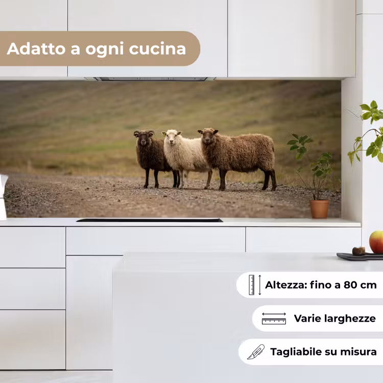 Schienale cucina - Pecora - Marrone - Bianco - Sentiero di ghiaia — 7