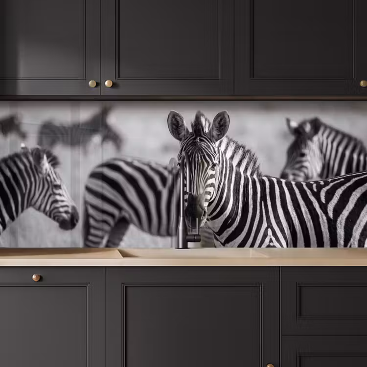 Schienale cucina - Zebre - Nero - Bianco — 6