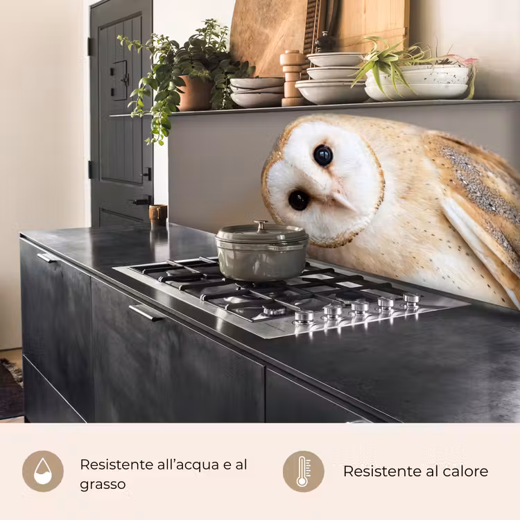 Schienale cucina - Gufo - Marrone - Bianco — 5