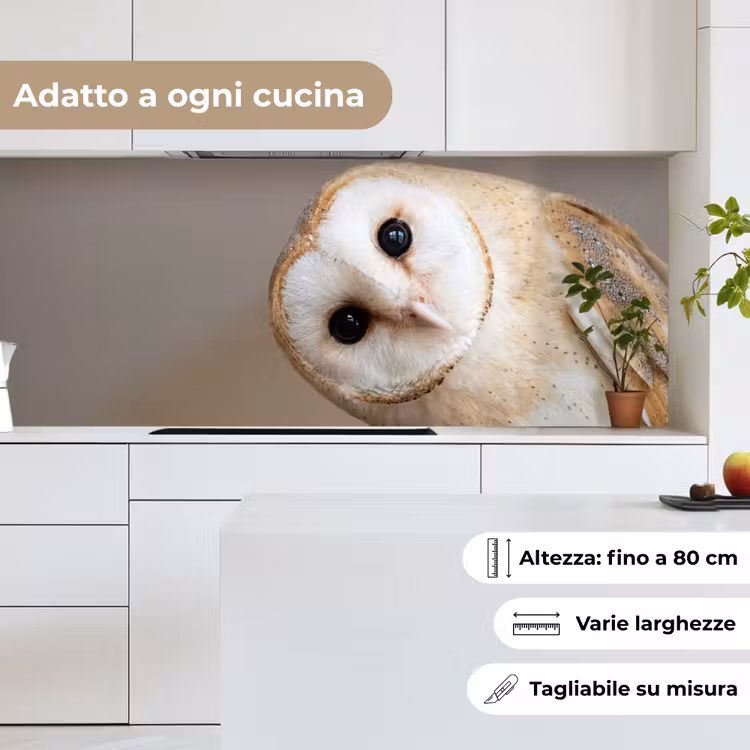 Schienale cucina - Gufo - Marrone - Bianco — 7