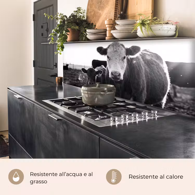 Schienale cucina - Mucche - Bianco e nero — 5