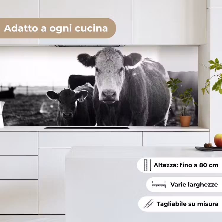 Schienale cucina - Mucche - Bianco e nero — 7