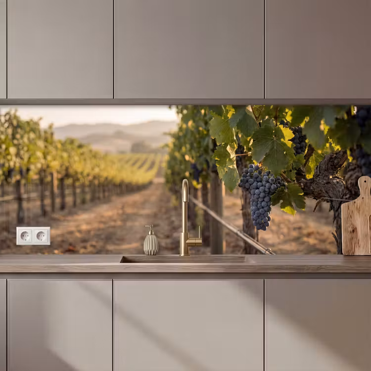 Schienale cucina - Uva - Vigneto - Luce solare — 1