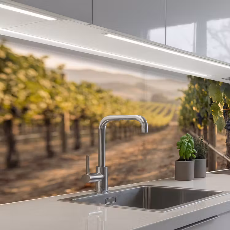 Schienale cucina - Uva - Vigneto - Luce solare — 2