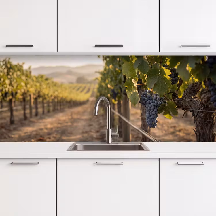 Schienale cucina - Uva - Vigneto - Luce solare — 4