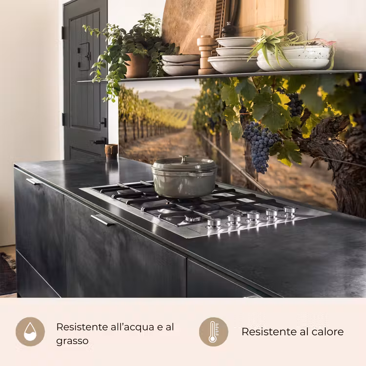 Schienale cucina - Uva - Vigneto - Luce solare — 5