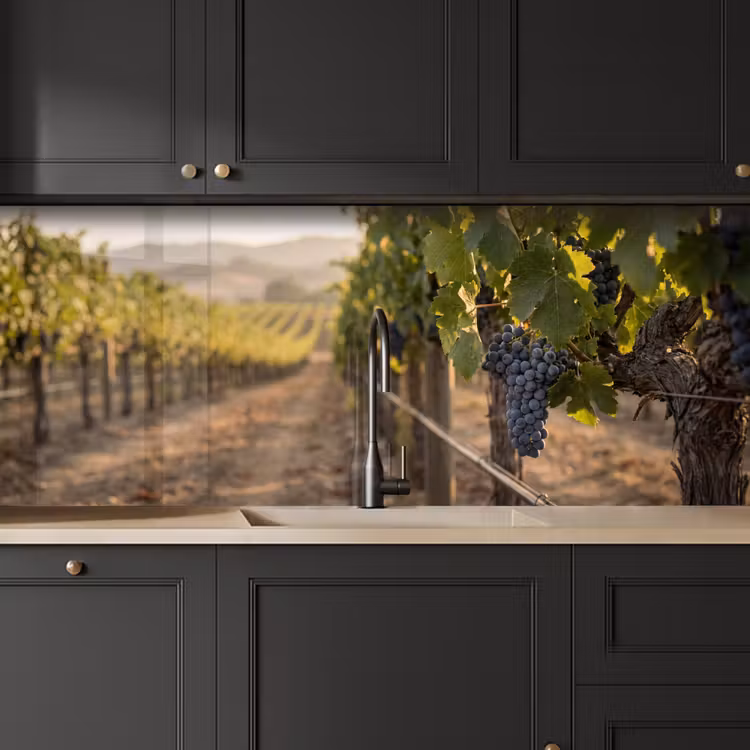 Schienale cucina - Uva - Vigneto - Luce solare — 6