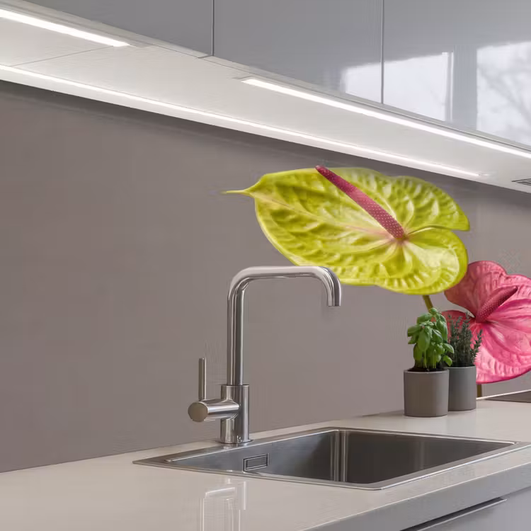 Schienale cucina - Piante - Anthurium - Verde - Rosa — 2