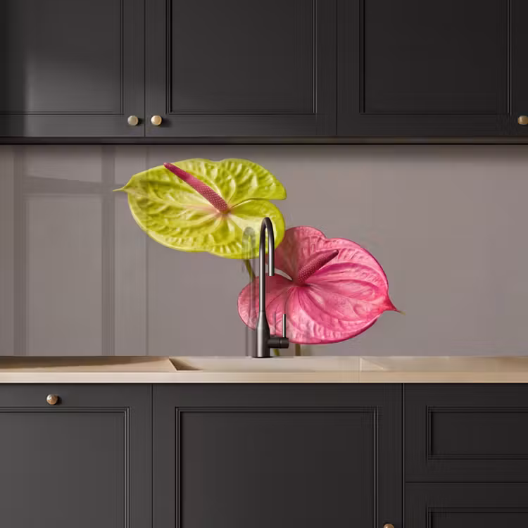 Schienale cucina - Piante - Anthurium - Verde - Rosa — 6